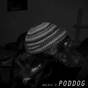 poddog